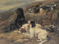Heywood Hardy Setters With The Mornings Bag A4 Photo Print