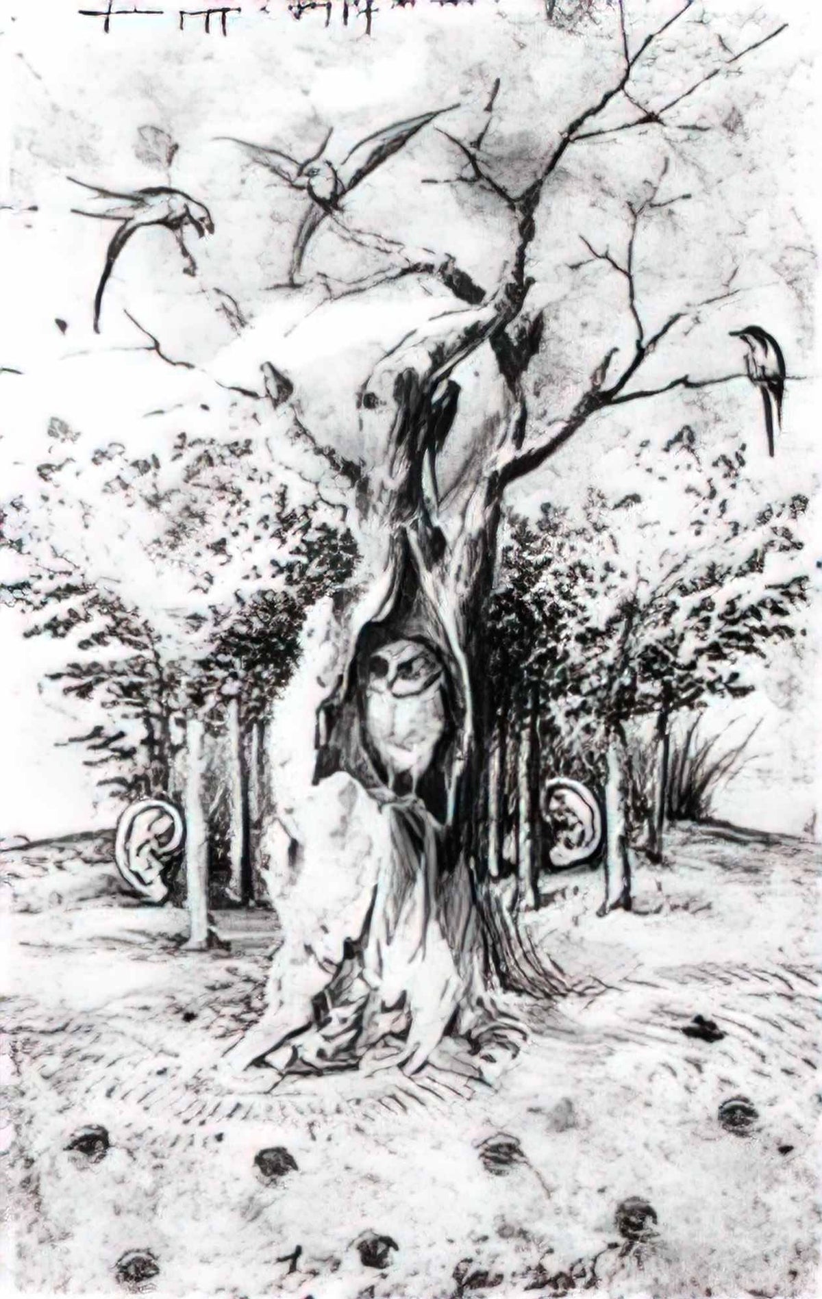 Hieronymus Bosch the hearing forest and the seeing field Art A4 Photo Print