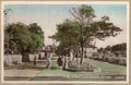 High Street Road Uk Enf14833 Vintage A4 Photo Print