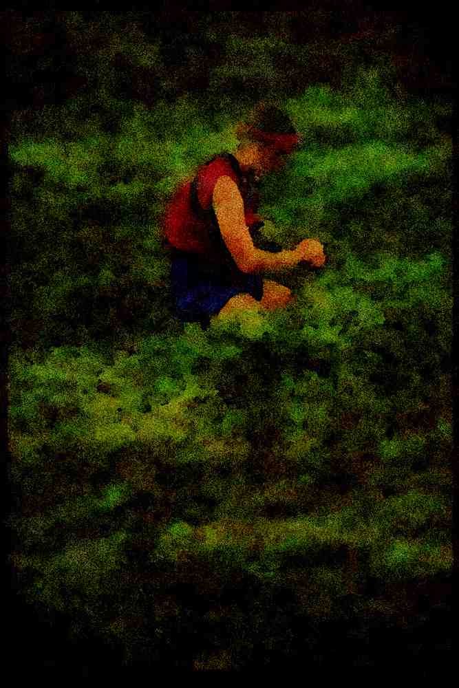 Hiking 267061 Berry Picking, Newfoundland A4 Limited Edition Watercolour Print