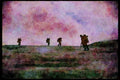 Hiking 267069 Descending Glacier A4 Limited Edition Watercolour Print