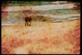 Hiking 267090 Tasmania, Australia A4 Limited Edition Watercolour Print