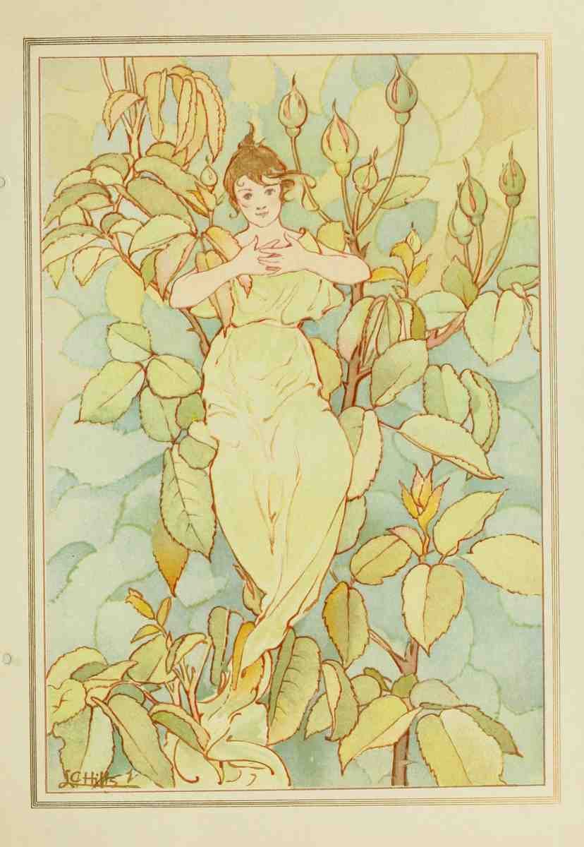Hills Laura C 1859 1952 Dream Roses 1897 4 A4 Photo Print