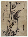 Hiroshige plum blossom and bush warbler 1838 Art A4 Photo Print