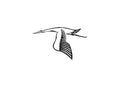 Hispano Suiza1 A4 Photo Print