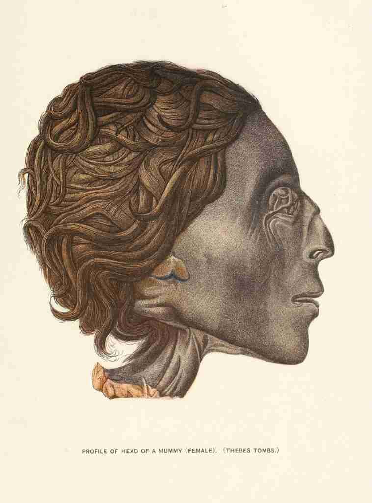 History of Egypt 1904 Profile of head of a mummy A4 Photo Print