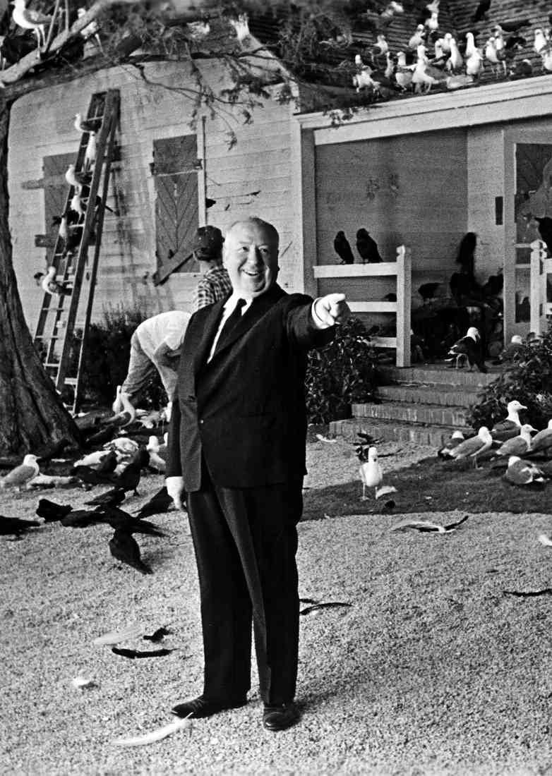 Hitchcock Alfred Birds The z6 A4 Photo Print