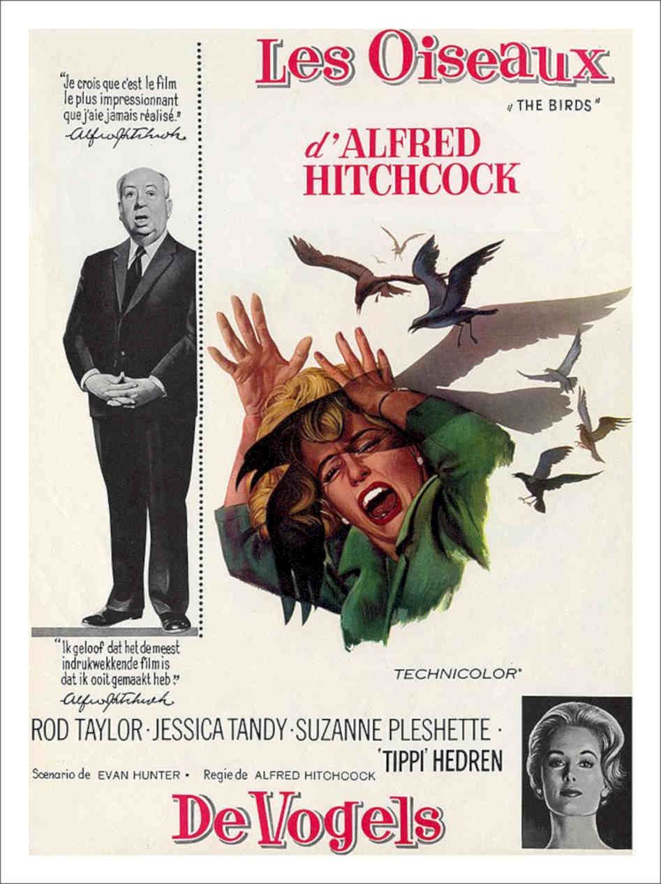 Hitchcock Birds Movie Poster Vintage Retro Advert Poster A4 Photo Print