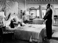 Holliday Judy Born Yesterday z1 film star poster A4 Photo Print