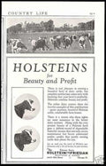 Holstein Cattle Pasture Vintage Retro Advert Ads A4 Photo Print