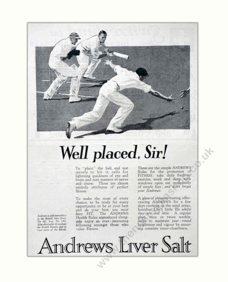 Holstein Cow Liver Vintage Retro Advert Poster A4 Photo Print