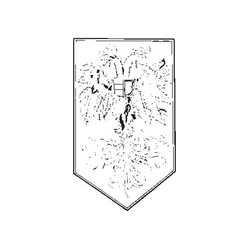 Holyroman Empire Coat Of Arms N4007 A4 Photo Print