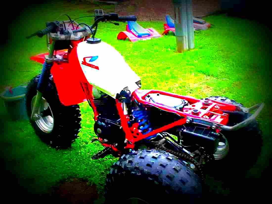 Honda ATC 200x ATC 200x 2 motorbike A4 Photo Print