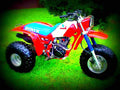 Honda ATC 200x ATC 200x 6 motorbike A4 Photo Print