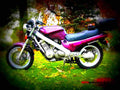 Honda Bros 650 1991 6 motorbike A4 Photo Print
