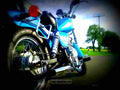 Honda CA 125 Rebel 1997 3 motorbike A4 Photo Print