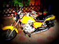 Honda CA 125 Rebel 2001 6 motorbike A4 Photo Print