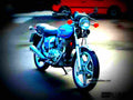 Honda CB 250 N 1984 6 motorbike A4 Photo Print