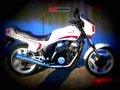 Honda CB 250 N (reduced effect) 1981 6 motorbike A4 Photo Print