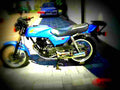 Honda CB 250 RS 1982 1 motorbike A4 Photo Print