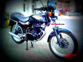 Honda CB 250 RS 1982 3 motorbike A4 Photo Print