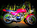 Honda CB 250 RS (reduced effect) 1981 1 motorbike A4 Photo Print