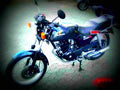 Honda CB 250 RSD 1985 3 motorbike A4 Photo Print