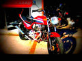 Honda CB 450 N 1985 3 motorbike A4 Photo Print