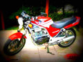 Honda CB 450 S (reduced effect) 1986 2 motorbike A4 Photo Print