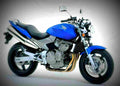Honda CB 600 F Hornet 2000 2 motorbike A4 Photo Print
