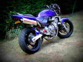 Honda CB 600 F Hornet 2000 5 motorbike A4 Photo Print
