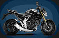 Honda CB 600 F Hornet 2000 6 motorbike A4 Photo Print