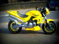 Honda CB 600 S Hornet S 2003 1 motorbike A4 Photo Print