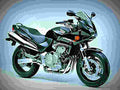 Honda CB 600 S Hornet S 2003 2 motorbike A4 Photo Print