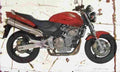 Honda CB600F 1998 Aged Vintage A4 Photo Print
