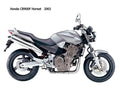 Honda CB900F Hornet 2002 motorbike A4 Photo Print