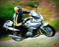 Honda CBF1000 CBF1000 1 motorbike A4 Photo Print