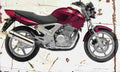 Honda CBF250 2004 Aged Vintage A4 Photo Print