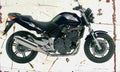 Honda CBF600 2004 Aged Vintage A4 Photo Print