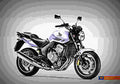 Honda CBF600 CBF600(CBF600N) 2 motorbike A4 Photo Print