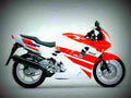Honda CBR 600 F 1991 1 motorbike A4 Photo Print