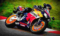 Honda CBR 600 F 2003 4 motorbike A4 Photo Print