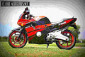 Honda CBR 600 F (reduced effect) 1989 4 motorbike A4 Photo Print