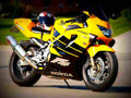 Honda CBR 600 F4 2000 6 motorbike A4 Photo Print