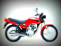 Honda CG 125 1998 2 motorbike A4 Photo Print