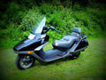 Honda CN250 Fusion 2006 1 motorbike A4 Photo Print
