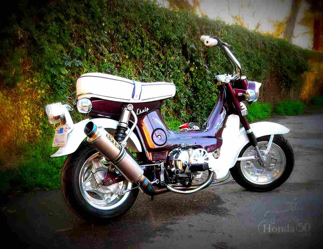 Honda Chaly CF 50 2 motorbike A4 Photo Print
