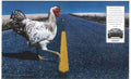 Honda Chicken Road Vintage Retro Advert Poster A4 Photo Print
