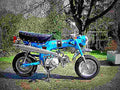 Honda Dax 50 50cc 2 motorbike A4 Photo Print