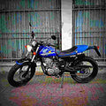 Honda FTR 2002 6 motorbike A4 Photo Print